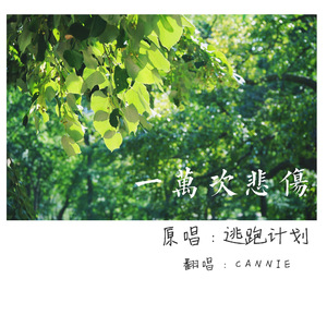 赵丽颖裸被❌高清视频
